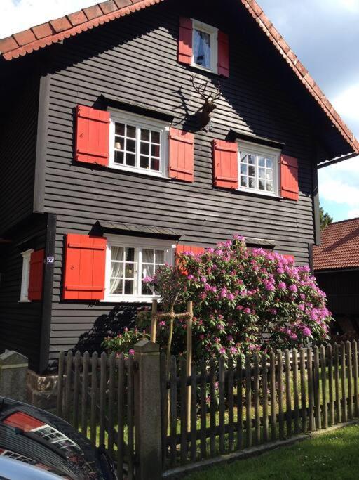 Villa Herzog - Ferienhaus Fuer 6 Personen In Braunlage, Harz Exterior photo